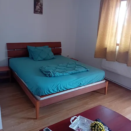 Lebada Neagra & Nepotul Itu Srl Guest house *