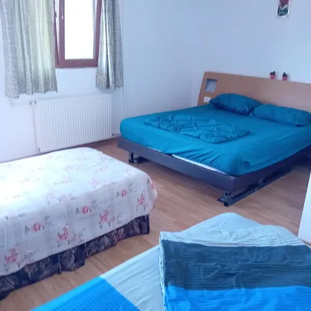 Guest house Lebada Neagra & Nepotul Itu Srl *